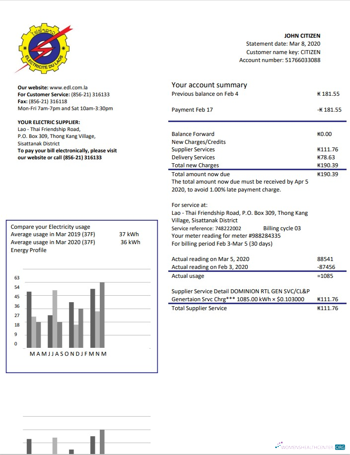 download Laos Electricite du Laos electricity utility bill template in Word and PDF format PDF template